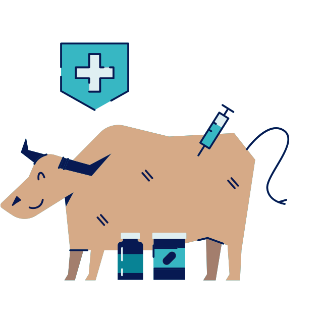 modern and flat style illustration of a happy cow being vaccinated and given medications