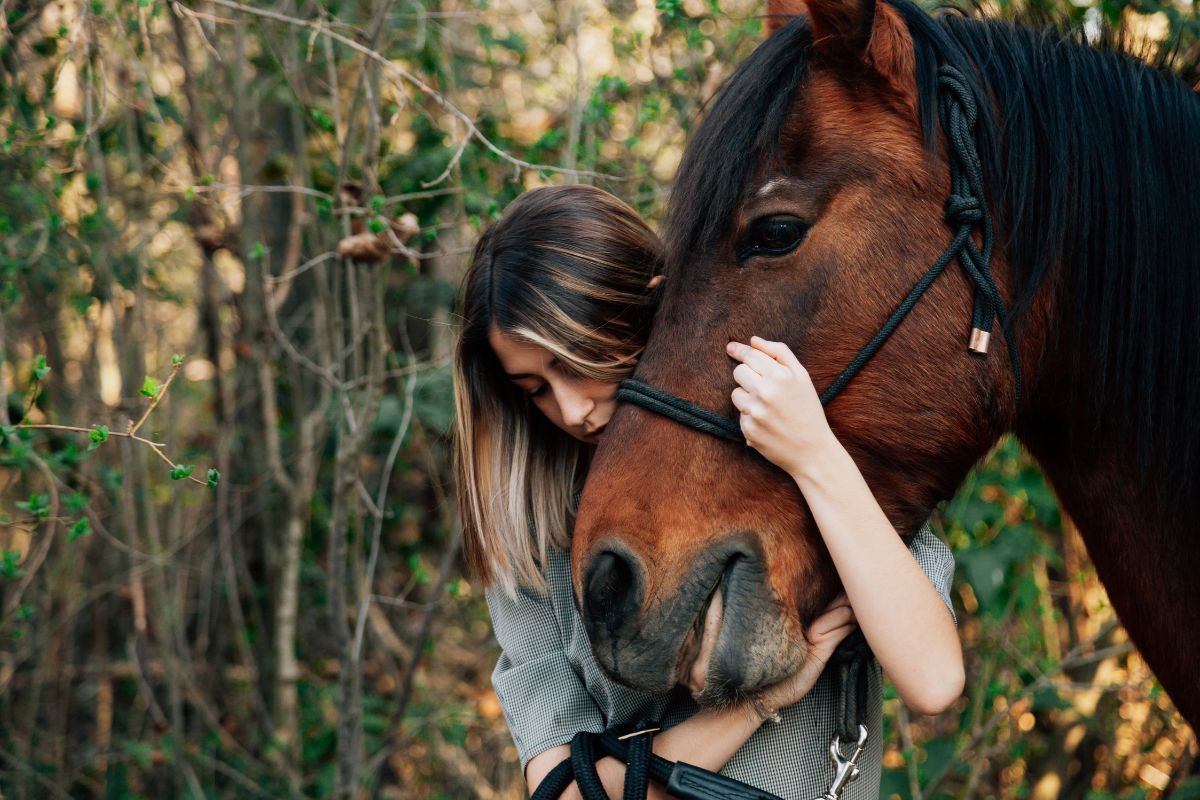 young woman peacefully hugging a brown horse