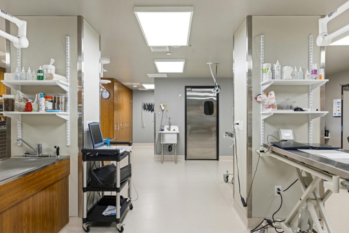 A well-organized veterinary clinic displaying shelves and cabinets