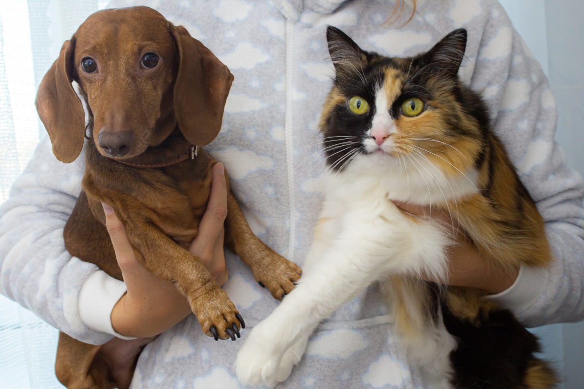 A woman cradles a small dog in one arm and a cat in the other