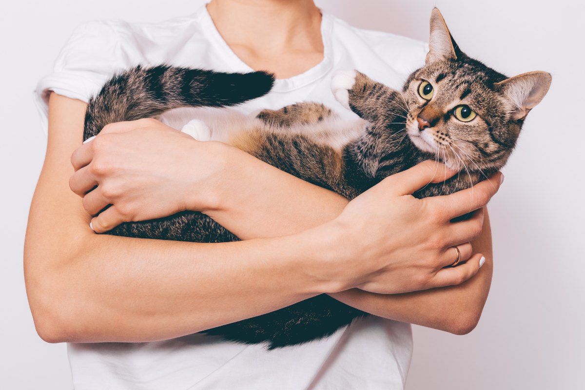 A woman gently cradles a cat in her arms