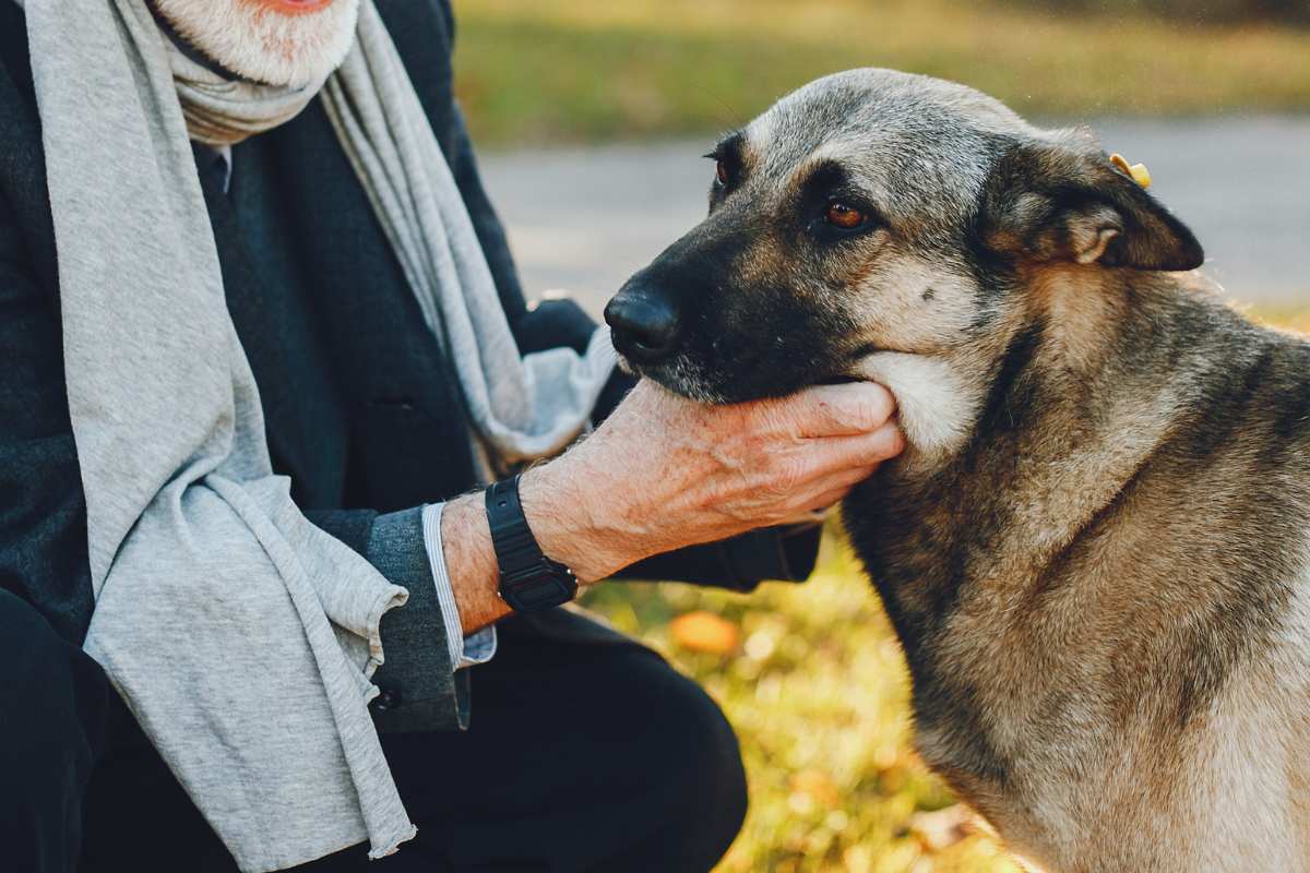 An older man gently pets a dog
