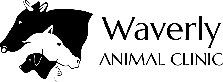 Waverly Animal Clinic Wordmark logo