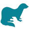 ferrets icon