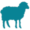 sheep icon