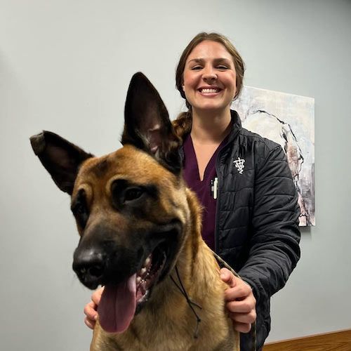 A person holding a german shepard dog in an office