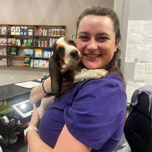 a person in a purple shirt holding a basset hound puppy