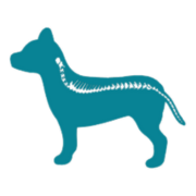 dog spine icon
