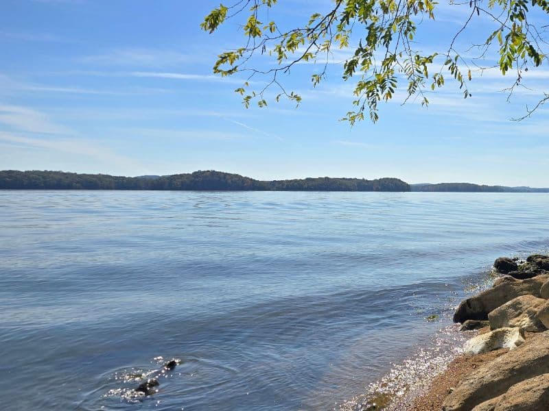 A river in Tennessee